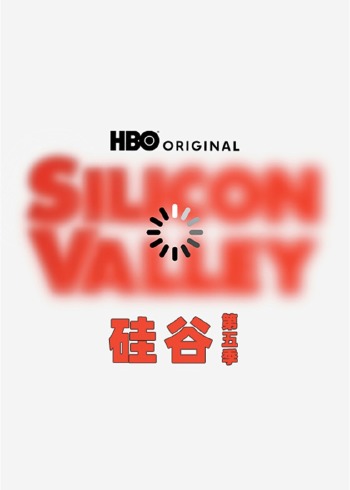 硅谷 5