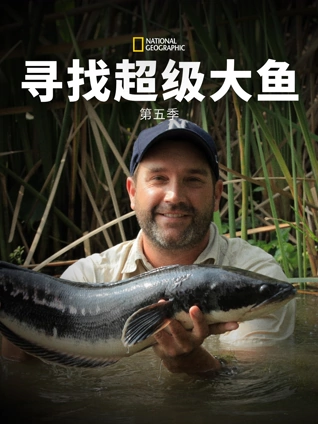 寻找超级大鱼 5